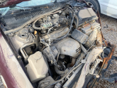 Carina.   Motor.