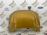 VOLKSWAGEN T-ROC KAPUT (18-21) ORİJİNAL ÇIKMA
