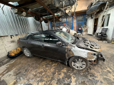 Oto Çıkma Parça / Toyota / Corolla / Kaporta & Karoser / Tavan Sacı / Çıkma Parça 