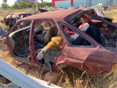 Oto Çıkma Parça / Kaporta & Karoser / Tavan Sacı / Ford / Escort / Çıkma Parça 