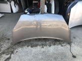 RENAULT KANGOO KAPUT