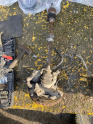 OPEL CORSA D 1.3 DİZEL SAĞ AKS KALİPER TAŞIYICI DİSK KOMPLE SET