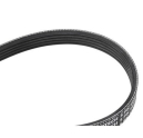 ŞARZ KAYIŞI ( 5PK1432) A4 01-05 038903137T