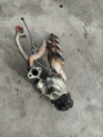 Hyundai Accent blue turbo BV38/28201