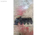Oto Çıkma Parça / Alt Takım & Direksiyon / Direksiyon Mili / Citroen / C5 / Çıkma Parça 