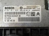 Oto Çıkma Parça / Citroen / C4 / Elektrik / Motor Beyni / Çıkma Parça 