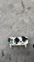Oto Çıkma Parça / Elektrik / Kalorifer Kontrol Paneli / Renault / Clio / Çıkma Parça 