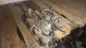 Mazda 323 1.6 karbüratör manifod set yedek parça