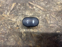 FORD TRANSİT V347 TEKLİ OTOMATİK CAM AÇMA ANAHTARI 5C1T14529