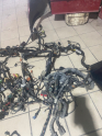 Oto Çıkma Parça / Elektrik / Elektrik Tesisatı / Ford / Focus / Çıkma Parça 