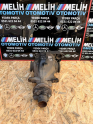 BMW E90 ÇIKMA 3.15 ORANLI ARKA DEFRANSİYEL