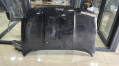 JEEP RENEGADE ÖN KAPUT