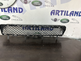 Jaguar 2008 tanpon orta lzgara