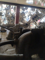 Oto Çıkma Parça / Motor / Emme Manifoldu / Tofaş / Doğan  / Çıkma Parça 