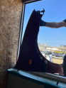 RENAULLT CLIO 2 SAĞ ÖN ÇAMURLUK ÜSTÜNEL OTOMOTİV BURSA