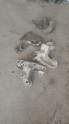 AUDİ A4 B5 KASA OTOMATİK MOTOR ŞANZIMAN KULAKLARI 1997- 2001