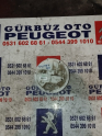 CİTROEN C4 CACTUS ŞAMANDIRA 9674461380