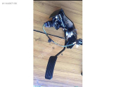 Oto Çıkma Parça / Mekanik / Pedal / Toyota / Corolla / Çıkma Parça 