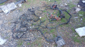 Pejo 206 1,4 benzinli manuel 2001 model motor içi elektrik tesisa