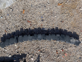 620907263R RENAULT FLUANCE 10-15 ÖN TAMPON DARBE EMİCİ SFR
