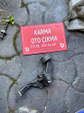 KİA SORENTO GERGİ BİLYASI 25281-4A000