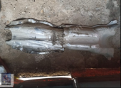 BMW 5 6 F07 F10 F11 F12 YAKIT DEPOSU ISI YALITIMI 7227524
