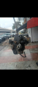 Oto Çıkma Parça / Citroen / Jumper / Motor / Motor Komple / Çıkma Parça 