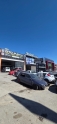 Marea stop fren lambası