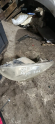 Oto Çıkma Parça / Elektrik / Far / Peugeot / 206 / Çıkma Parça 