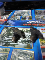 Oto Çıkma Parça / Elektrik / Eksantrik Sensörü / Fiat / Albea / Çıkma Parça 