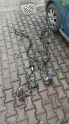 Oto Çıkma Parça / Elektrik / Elektrik Tesisatı / Ford / Focus / Çıkma Parça 