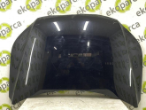 VOLKSWAGEN TİGUAN 2008 2016 KAPUT 5N0823031