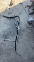 RENAULT MASTER4 KLİMA BORUSU OTO FEDAİ