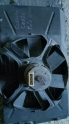 Volkswagen Polo classic fan