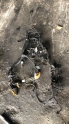 VOLVO S60 MOTOR TESİSATI 32356726 OTO FEDAİ