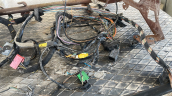 Oto Çıkma Parça / Elektrik / Elektrik Tesisatı / Renault / Clio / Çıkma Parça 