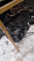 OPEL ASTRA G 1.7 DİZEL MOTOR.OTO ERKAN ÜNYE