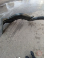 Oto Çıkma Parça / Filtre / Hava Filtresi Hortumu / Scania / 420 / Çıkma Parça 