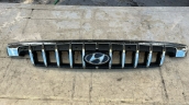 HYUNDAİ STARREX ÖN PANJUR