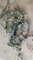 2005 honda civic ÇIKMA ORJINAL  motor içi tesisatı komple