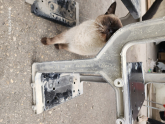Oto Çıkma Parça / Alt Takım & Direksiyon / Taşıyıcı / Ford / F-Max / Çıkma Parça 