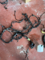 PEUGEOT 308 t7 1.6 hdi motor tesisatı 9663479880