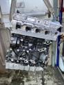 2.0 TDI Audi Q5 Motor (2017/2024)