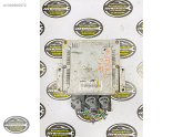 RENAULT MASTER MOTOR BEYNİ - 0281011254 - 8200236624 -820023