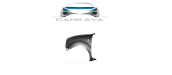 KANGOO ON CAMURLUK SOL 98-03 7751691052