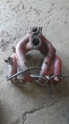BMW  e36 m43 motor emme manifod