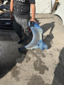 Oto Çıkma Parça / Kaporta & Karoser / Çamurluk / Renault / Taliant / Çıkma Parça 