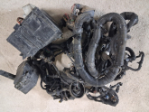 Nissan  Navara  (D40)  Motor  Tessisatı