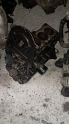 CHEVROLET AVEO 1.2 8 WALF YARIM MOTOR.OTO ERKAN ÜNYE
