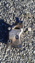 Peugeot Partner 1.9 sag üst motor kulağı braket